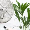 A close-up shot of a retro-style desk fan next to a potted plant. Produktbild-Vorschau