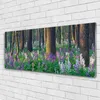 Acrylglasbilder 125x50 Wandbild Druck Wald Natur Produktbild-Vorschau 1