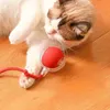 A cat is playing with a red interactive LED ball toy. Náhled obrázku produktu