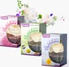 CLENTAIRE Duftblumen Probierpaket 3 x 75ml Raumduft Produktbild-Vorschau 1