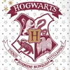 bettwäsche Harry Potter Baumwolle rot 140 x 200 cm Produktbild-Vorschau 3
