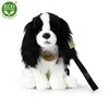 Peluche King Charles Spaniel Con Guinzaglio 27 Cm Eco-f. Anteprima dell’immagine prodotto 8