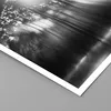 Poster - Poster ohne Rahmen - Wald Kiefer Sonne - 50x70 cm Produktbild-Vorschau 2