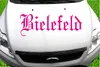 Indigos UG - Aufkleber Heckscheibe & Motorklappe DE6476 - Produktbild-Vorschau 2