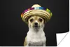 MuchoWow® Poster Hund - Sombrero - Schwarz 180x120 cm - Produktbild-Vorschau 1