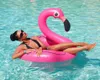 Schwimmring 120cm – Flamingo Schwimmreifen groß für Pool & Produktbild-Vorschau 10