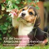 AniForte Junior Active für Welpen & Junghunde 250g - Für Produktbild-Vorschau 6