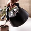 Bouilloire En Acier Avec Thermomètre 3L Klausberg Kb-7371 Voir les images du produit 2