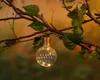 A solar-powered LED light bulb hanging from a tree branch. Produktbild-Vorschau