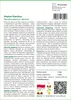 SAFLAX - Wapień-Bambus - 50 Nasiona - Dendrocalamus Podgląd zdjęcia produktu 3