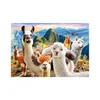 CASTORLAND puzzle 1000 dílků - Lamy Náhled obrázku produktu 3