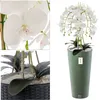 Orchidée artificielle cascade bouquet de fleurs blanches en Voir les images du produit 2