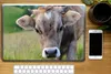 MuchoWow® Laptop Aufkleber Sticker Cover Kuh - Horn - Produktbild-Vorschau 2