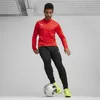 Puma Teamgoal Trainingssweat Herren - Rot Produktbild-Vorschau 5
