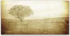 Acrylglasbilder 120x60 Wandbild Druck Baum Natur Produktbild-Vorschau 1