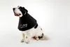 Comfy Cone Kraag Zwart Extra Extra Large / 36.5cm Productafbeelding-voorbeeld 8