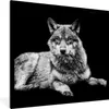MuchoWow® Gerahmtes Poster Wildlife - Wolf - Schwarz - Weiß Produktbild-Vorschau 1