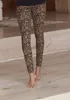Buffalo Leggings camelfarben-schwarz-leo Größe 40/42 Produktbild-Vorschau 4