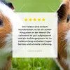 MuchoWow® - Leinwandbilder - Zwei Meerschweinchen, Produktbild-Vorschau 8