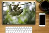 MuchoWow® Laptop Aufkleber Sticker Cover Ein Faultier hängt Produktbild-Vorschau 2