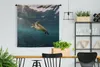 MuchoWow® Wandteppich Wandbehang Schildkröte im klaren Produktbild-Vorschau 2