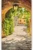 Fototapeta na dveře SICILIA 86x200 Náhled obrázku produktu 1
