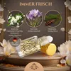 El-Musc  Oud Ateeq 6ml Parfümöl - Misk Musk Produktbild-Vorschau 5