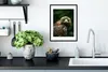 MuchoWow® MuchoWow® Gerahmtes Poster Adler - Braun - Produktbild-Vorschau 4