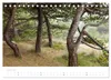 Ameland (Tischkalender 2027 DIN A5 quer), CALVENDO Produktbild-Vorschau 7