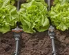 Valvola di regolazione/arresto del Micro-Drip System Anteprima dell’immagine prodotto 10