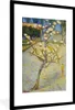 MuchoWow® MuchoWow® Gerahmtes Poster Blühender Birnbaum - Produktbild-Vorschau 1