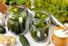 SAFLAX - BIO - Gurke - Vorgebirgstraube - Cucumis sativus - Produktbild-Vorschau 6