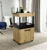 Barschrank Minibar Rollwagen Hausbar Schrank Küchenwagen Produktbild-Vorschau 1