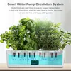 Hydroponisches Anzuchtsystem, Indoor Kräutergarten Set mit Produktbild-Vorschau 8