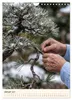 Spirit of Bonsai – Japanische Meisterwerke 2027 Produktbild-Vorschau 4