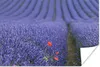 MuchoWow® Poster Lavendel - Mohn - Blumenwiese 180x120 cm - Produktbild-Vorschau 1