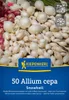 Kiepenkerl Wintersteckzwiebel Snowball - weiß Allium cepa Produktbild-Vorschau 4