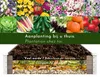 WONDERMAKE Grande bordure de parterre surélevée en bois Voir les images du produit 5
