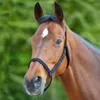 Waldhausen Grazing Halfter Blau Cob Blau Cob Produktbild-Vorschau 5
