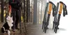 A person and a dog in a forest, with a pair of trekking poles shown separately. Podgląd zdjęcia produktu