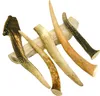 RF-Deer 1kg(20-30cm/4-8 Stück) natürliches Hirschgeweih, Produktbild-Vorschau 2