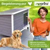 zooprinz Hundehütte Jacky | XL | Wetterfest | Massivholz | Produktbild-Vorschau 7