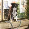 TRIXIE Hundeleine Cavo, 1,00 m, ø 12 mm, schwarz/grafit, Produktbild-Vorschau 9