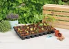 50 x 30 x 5 cm Topfplatte rund (40 Töpfe je Ø 6 cm) | Produktbild-Vorschau 3