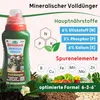 LENI Hydrokultur Komplett-Set mit Blumentopf Kulturtopf Produktbild-Vorschau 4