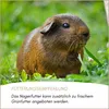Supravit Nagerfutter Kleintierfutter 2,5kg | Premium Produktbild-Vorschau 5