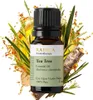 Teebaumöl, ätherisches Öl, 100% Rein, BIO, natürlich, 10 ml Produktbild-Vorschau 1