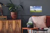 MuchoWow® Poster Kuh - Gras - Niederlande - Tiere 40x20 cm Produktbild-Vorschau 2