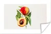 MuchoWow® Poster Pfirsich - Lebensmittel - Obst 60x40 cm - Produktbild-Vorschau 1