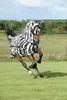 Bucas Fliegendecke Zebra mit Halsteil - 130 cm Produktbild-Vorschau 9